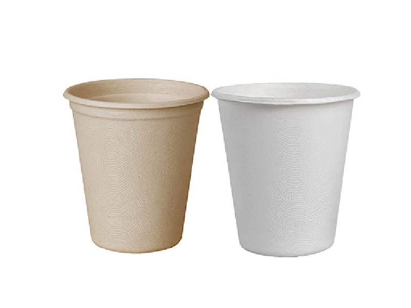 Bagasse Paper Coffee Cup