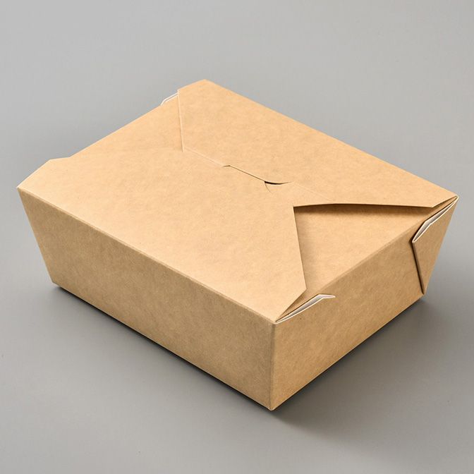 Cardboard Takeaway box Large