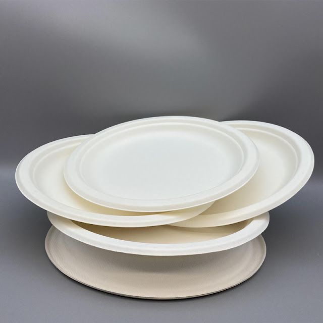 White-Round-Bagasse-Plate